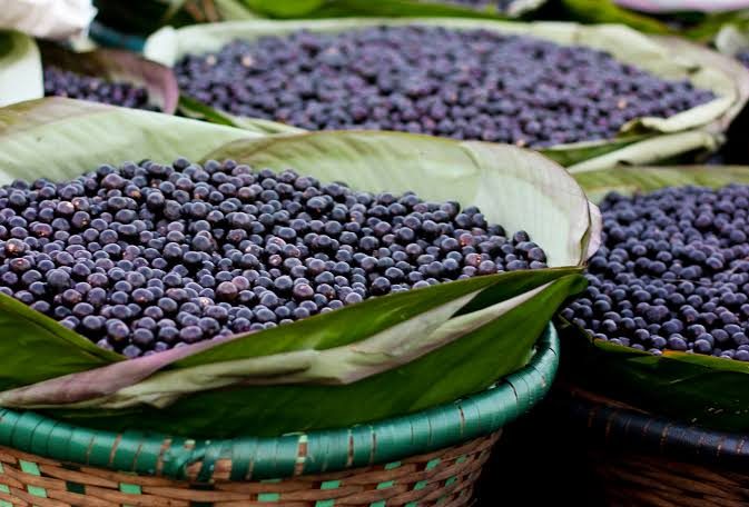 Cestas com frutos frescos de açaí