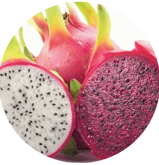 Creme de Pitaya Triboo